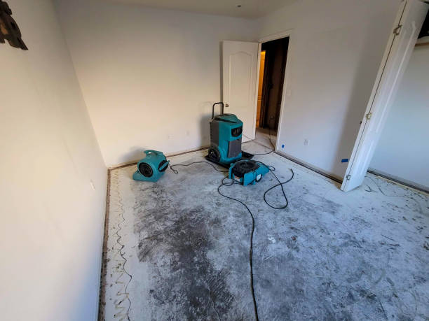 Water damage restoration mold remediation in West Easton, PA