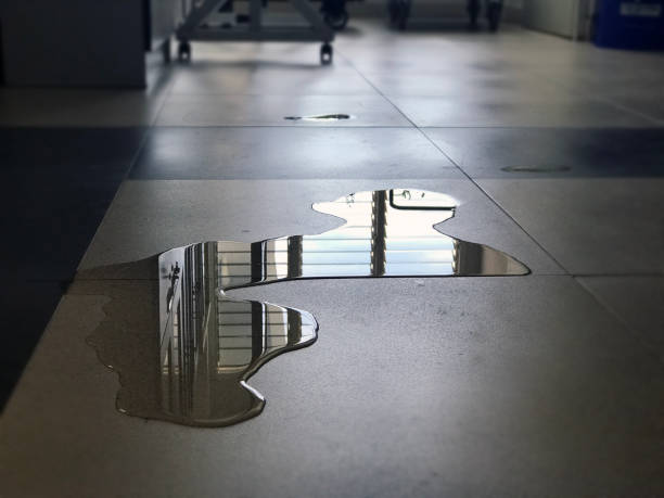 Best Commercial water damage restoration  in West Easton, PA