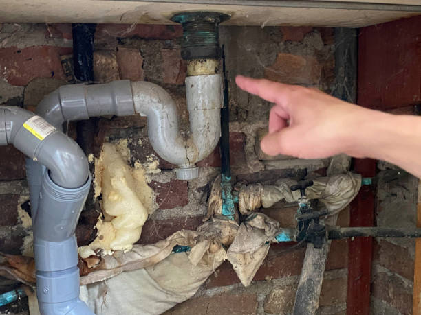 Best Mold removal after water damage  in West Easton, PA